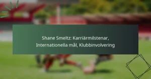 Shane Smeltz: Karriärmilstenar, Internationella mål, Klubbinvolvering
